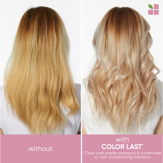 MATRIX BIOLAGE Color Last Shampoo