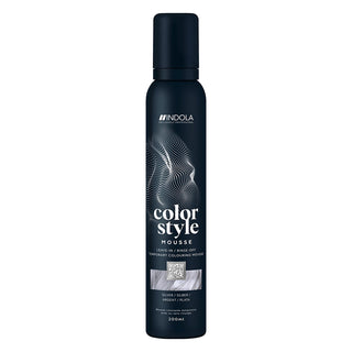 INDOLA_Color_Style_Mousse
_Silver_200ml