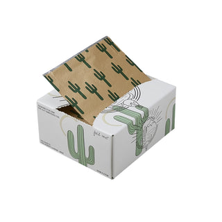 Cardboard box with cactus design on a white background