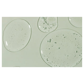 Transparent circular stickers with speckled texture on a light green background