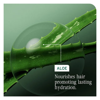 Close-up of an aloe vera plant with a droplet, labeled 'Aloe' and text about hair hydration.