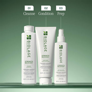 BIOLAGE hair care products including shampoo, conditioner, and spray on a green background