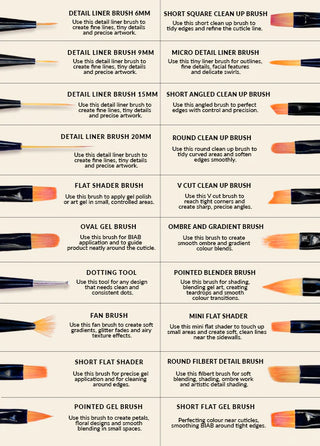 Illustration of various makeup brushes with labels on a white background