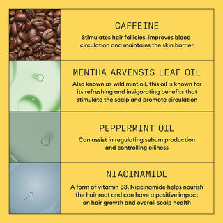 NIOXONSystem2TrialKitIngredients