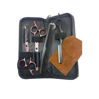 SALON WORLD PRO FEEL Scissor Kit
